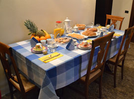 Bed & Breakfast Malpensa airport with breakfast included - Le 3 Camelie Vanzaghello